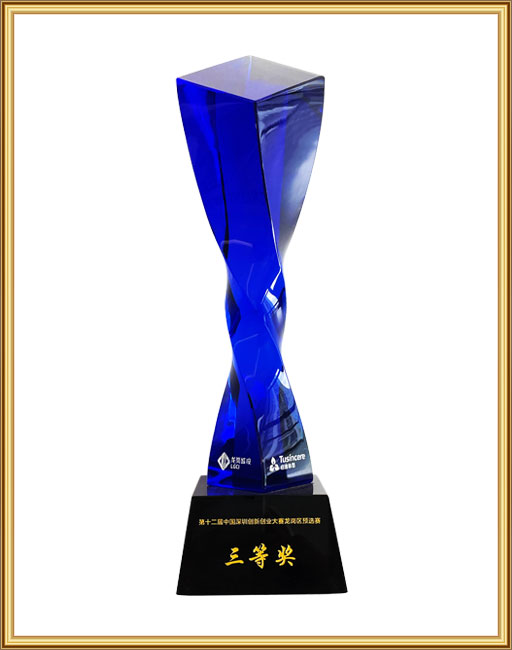 Third Prize in The 12th China Shenzhen Innovation and Entrepreneurship Competition in Longgang District
